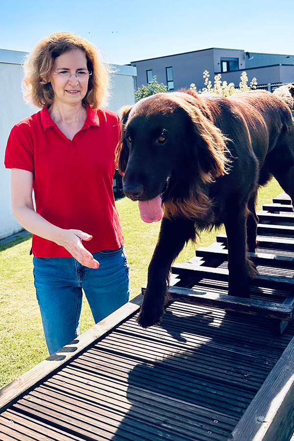 Tierphysiotherapie mit Hund